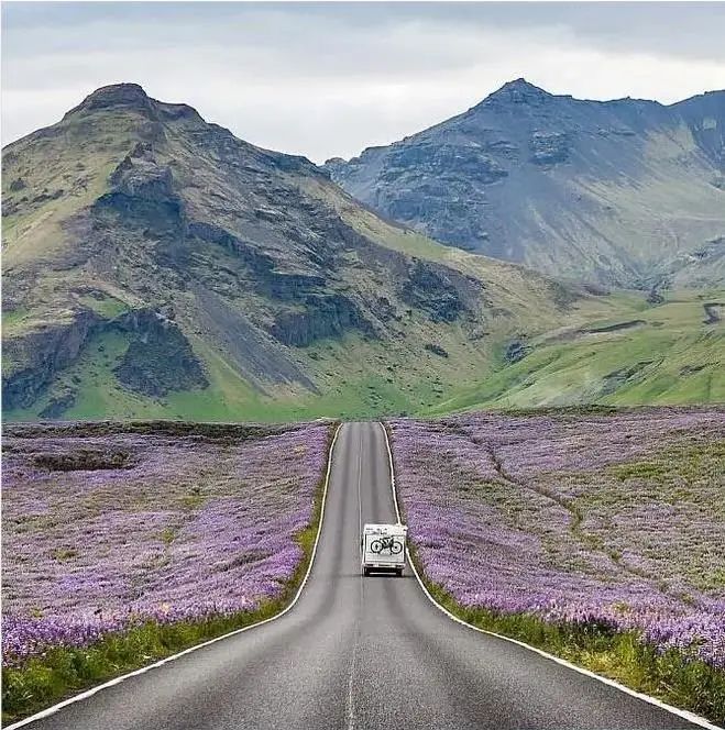 成年人不做選擇題，自由與安穩我都要！